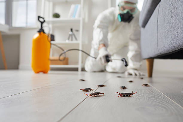 Post-Treatment Bed Bug Interceptor Monitoring in Placentia